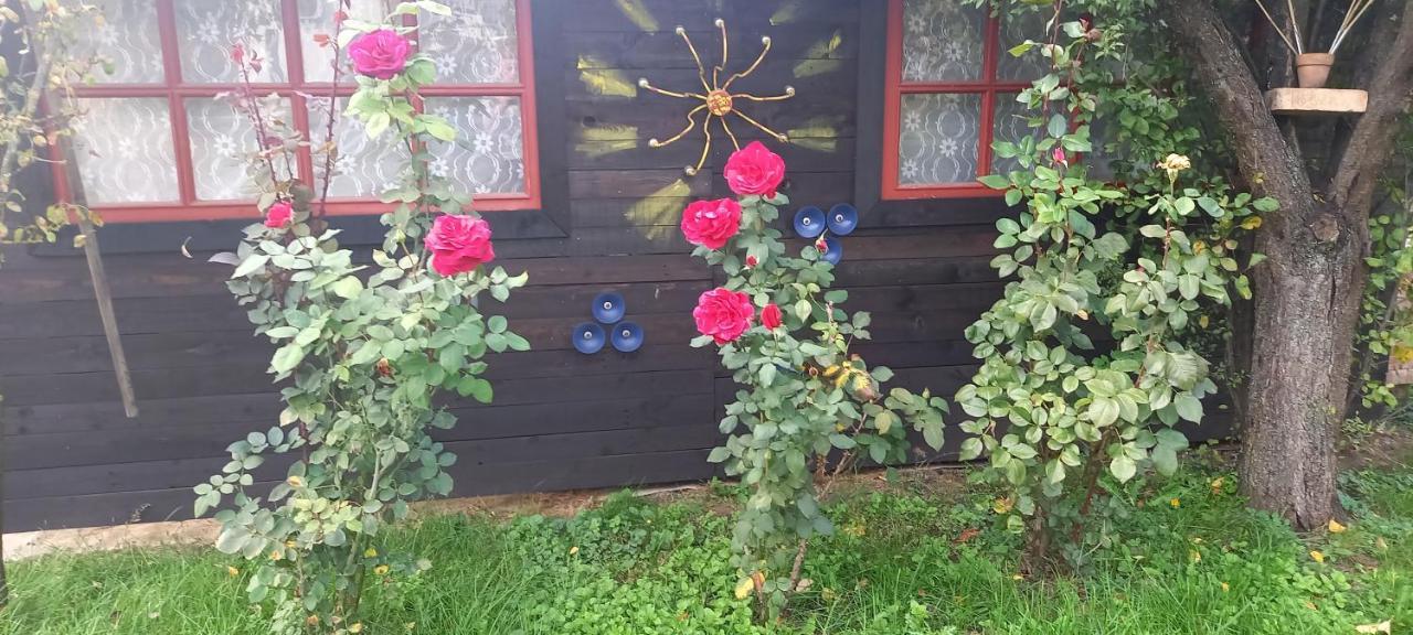 Apartmán Ket Puli Vendeghaz Bekescsaba Exteriér fotografie