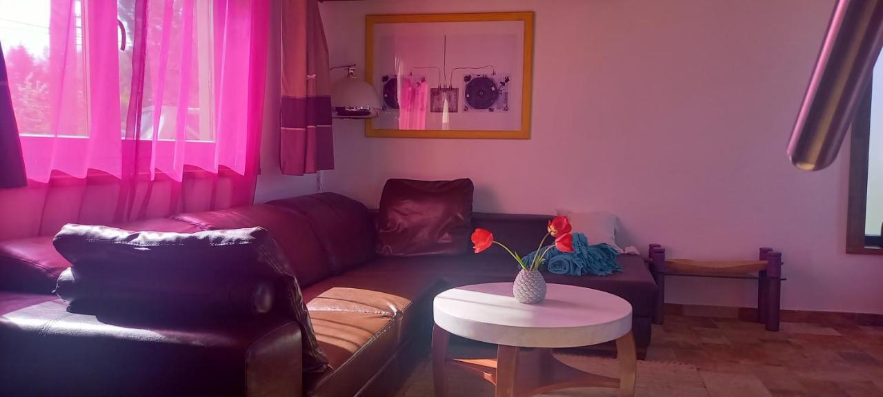 Apartmán Ket Puli Vendeghaz Bekescsaba Exteriér fotografie