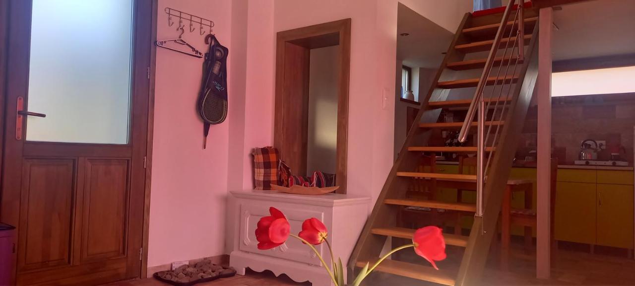 Apartmán Ket Puli Vendeghaz Bekescsaba Exteriér fotografie