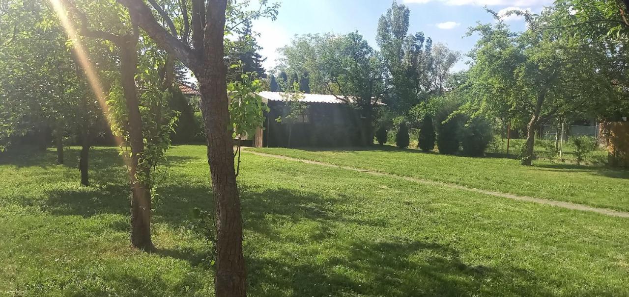 Apartmán Ket Puli Vendeghaz Bekescsaba Exteriér fotografie